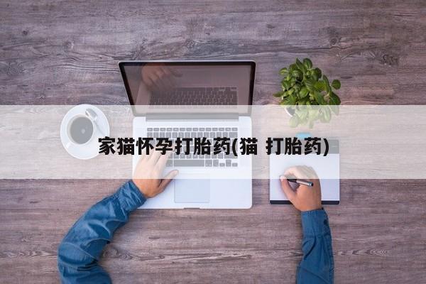 米非司酮片米索前列醇在线下单购买家猫怀孕打胎药(猫 打胎药)